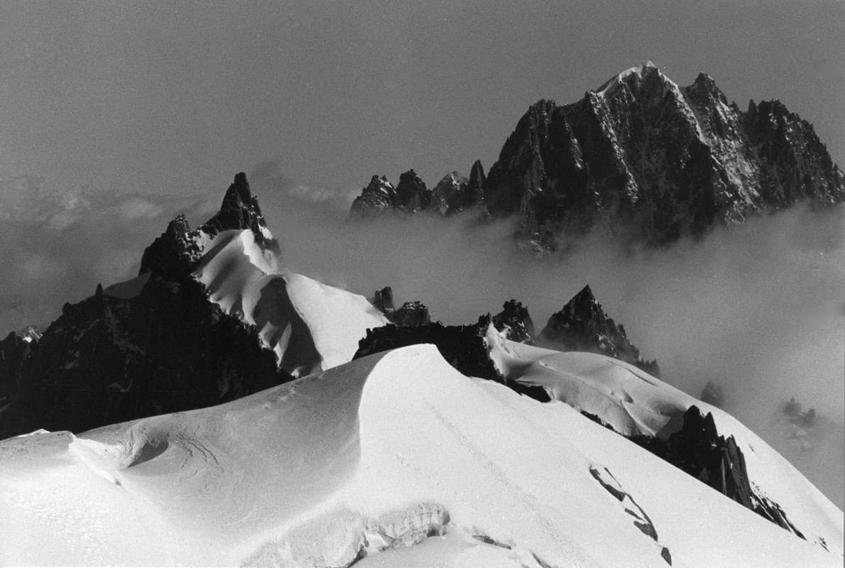 newsletter image