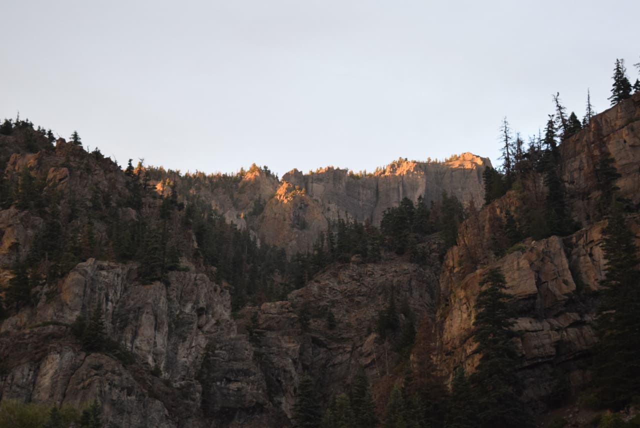 newsletter image